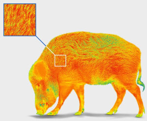 Pulsar Oryx LRF XG35 | Wärmebildgerät | 640x480