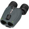 Alpen Optics Apex Steady 16x30 HD Fernglas mit Bildstabilisierung