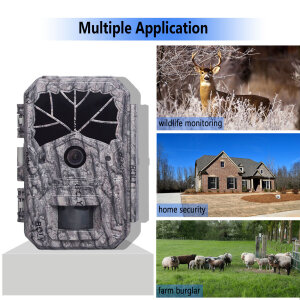 Boly Cam BG636-K Fotofalle | 64MP/1080P | unsichtbarer IR 940nm