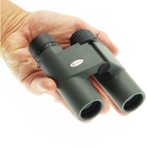 KOWA BD 10x25 DCF Fernglas | C3-Prismen | Eco-Glas | 320 g