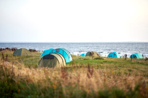 Grand Canyon Topeka 4 Zelt - Capulet Olive