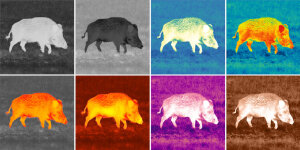 Pulsar Axion XG35 COMPACT Wärmebildgerät - 640x480