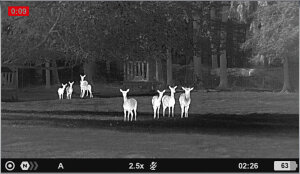 Pulsar Axion XG35 COMPACT Wärmebildgerät - 640x480