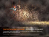 Fenix HM65R-T V2.0 trail running headlamp with 1600 lumens - Nebula
