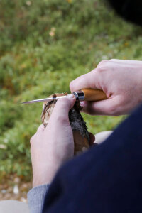 Morakniv Holz-Schnitzmesser 106 (C) | 85 mm Klinge | Carbon-Stahl