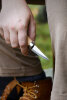 Morakniv Holz-Schnitzmesser 120 (C) | 62 mm Carbonstahl-Klinge