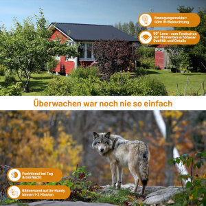 ICU CLOM Cam 6 - 4G-Fotofalle 2025